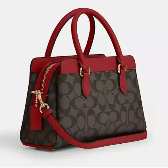 New! Mini Darcie Carryall in Signature Canvas - Picture 7 of 7